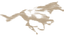 Lost Horse - Home