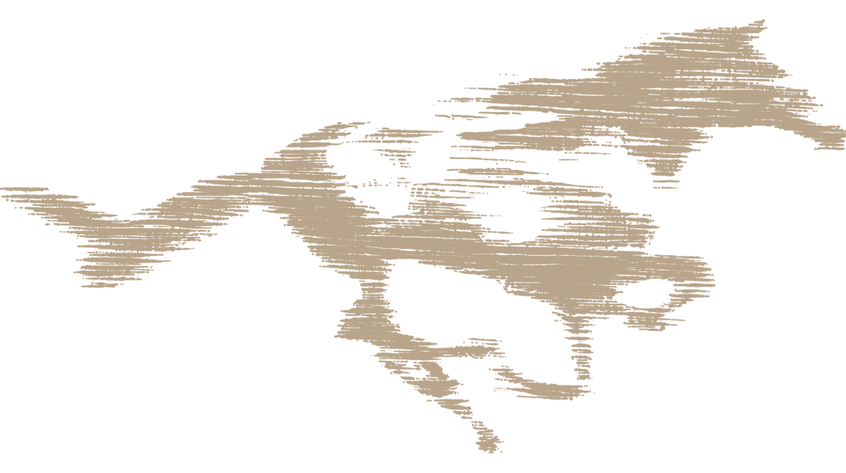Lost Horse